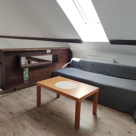 Attic Parkview Apartment ピエシュチャニ エクステリア 写真